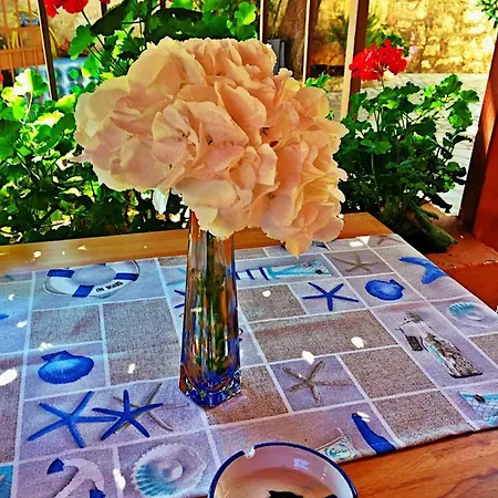 Gasthuis Funtana-mia Funtana