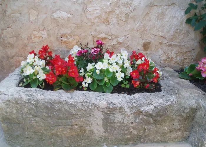 Funtana-mia Affittacamere 4*